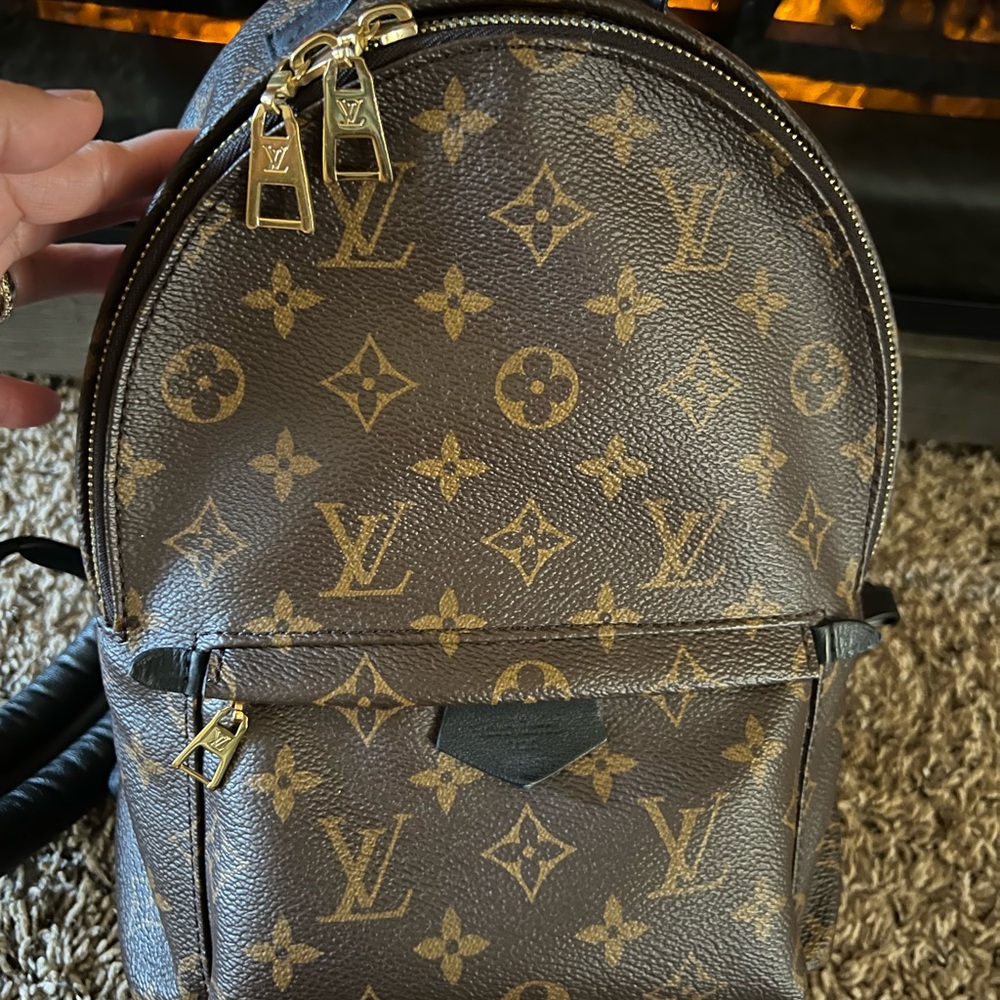 Louis Vuitton Palm Spring PM